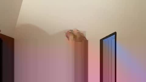 Snapshot of andysap chatting on January 10, 1:09 pm andysap online show from January 10, 1:09 pm