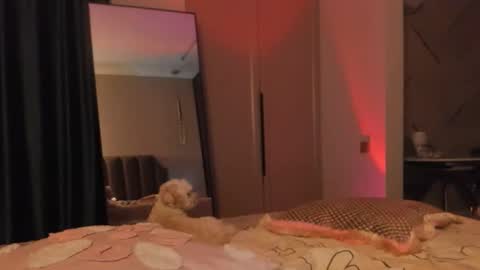 angel_andreww online show from May 27, 6:16 pm