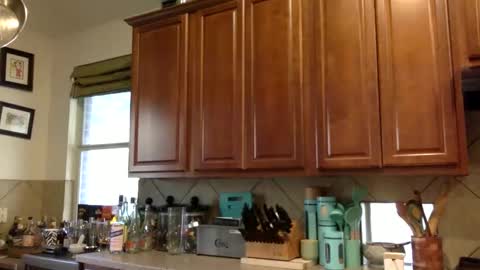 angelia01m online show from October 31, 9:38 pm