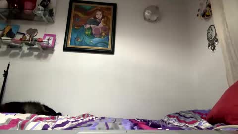 angelicfxxt online show from January 23, 5:56 am