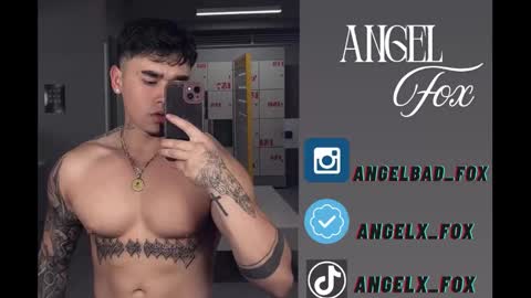 Angel Fox online show from September 13, 9:09 am