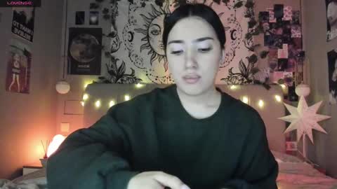 Anisa Moan from LovenseWet from Tip MenuOpen for Private online show from February 5, 4:25 pm