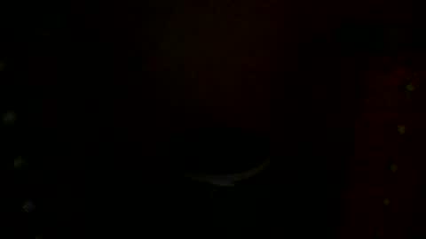 Snapshot of annecharlie chatting on November 30, 7:56 am annecharlie online show from November 30, 7:56 am