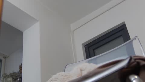 Anna online show from December 2, 11:45 am