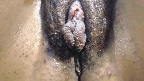 Anny online show from October 18, 11:11 am