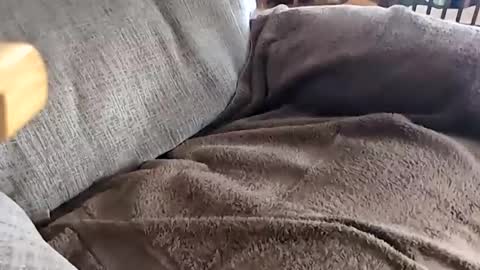 jay online show from November 20, 4:18 pm