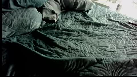 Anonpov couple online show from February 28, 12:55 am