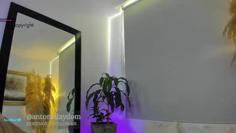 Snapshot of antonella_dom chatting on December 15, 6:45 pm Antonella14Dominic online show from December 15, 6:45 pm