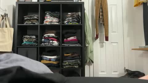 cowboy online show from November 20, 8:03 am