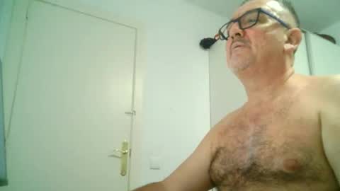 furry bear online show from September 8, 10:53 pm