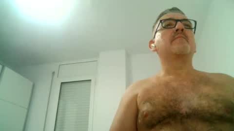 furry bear online show from September 16, 8:43 pm
