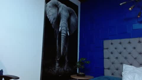 Snapshot of apolo_klein1 chatting on February 14, 6:56 am Apolo online show from February 14, 6:56 am