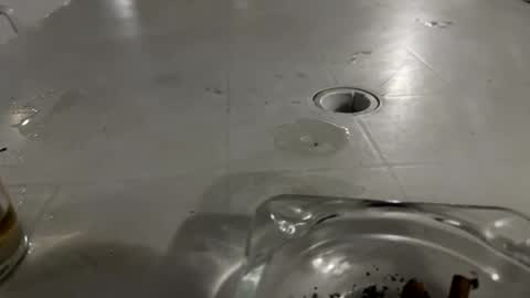 appelsapje4 online show from November 24, 12:43 am