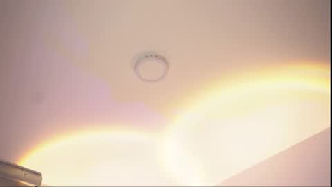 insta appolo master online show from February 26, 4:22 am