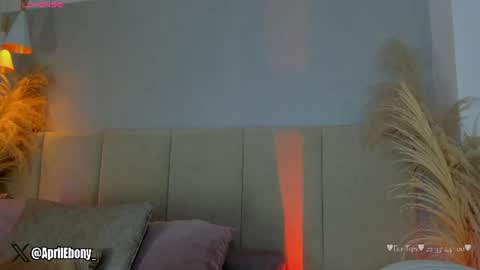 Snapshot of april_ebony18_ chatting on June 22, 10:45 am April online show from June 22, 10:45 am