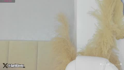 Snapshot of april_ebony18_ chatting on July 2, 10:43 am April online show from July 2, 10:43 am