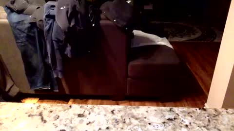 Knowledgeiskeyy online show from January 16, 10:19 am