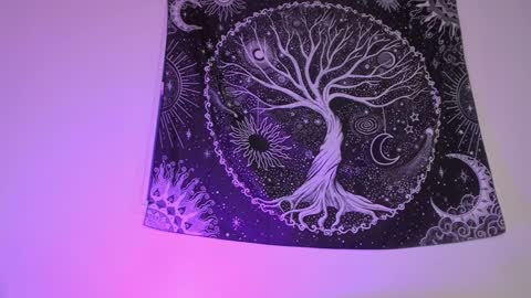 Snapshot of aramjones chatting on January 27, 6:41 am Aram 3 online show from January 27, 6:41 am