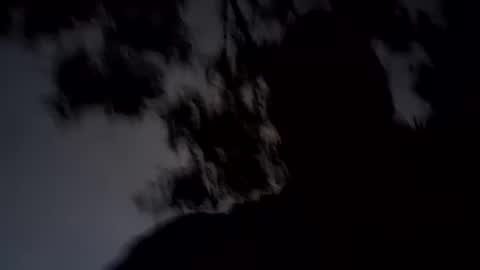 Snapshot of archangel__michael chatting on January 19, 11:34 am ARCHANGEL MICHAEl online show from January 19, 11:34 am