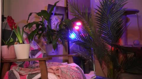 Olivka online show from March 20, 6:40 am