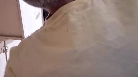 arielferdman online show from October 28, 9:06 pm