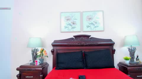 Snapshot of arisweett chatting on November 11, 12:49 pm Ari online show from November 11, 12:49 pm