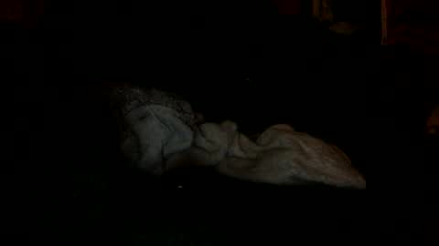 Snapshot of arley1966 chatting on November 4, 2:43 am arley1966 online show from November 4, 2:43 am