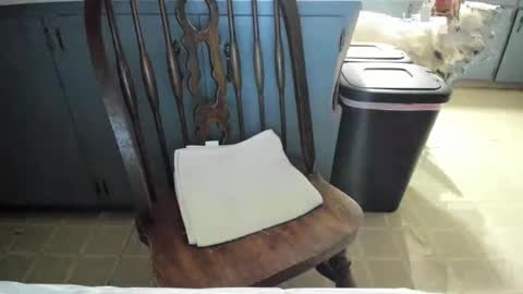 Snapshot of armalite16 chatting on November 13, 6:23 am armalite16 online show from November 13, 6:23 am