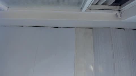 Snapshot of artemis_020 chatting on November 1, 1:07 am FENIX online show from November 1, 1:07 am