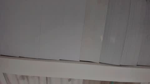 Snapshot of artemis_020 chatting on November 18, 2:06 am FENIX online show from November 18, 2:06 am