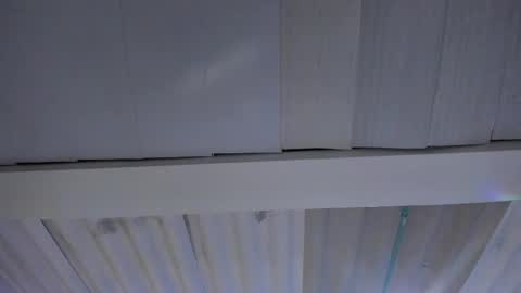 Snapshot of artemis_020 chatting on November 20, 2:45 am FENIX online show from November 20, 2:45 am