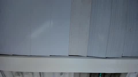 Snapshot of artemis_020 chatting on November 25, 3:06 am FENIX online show from November 25, 3:06 am