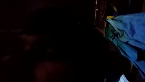 arvy95198 online show from October 12, 11:15 pm