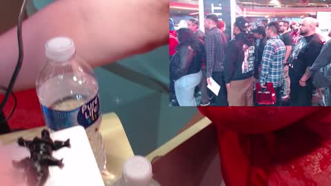 SweetAshCheeks online show from January 19, 4:05 am