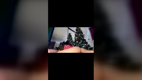 Snapshot of asian_babeee chatting on December 2, 1:00 am asian_babeee online show from December 2, 1:00 am