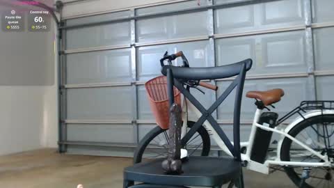 Anne online show from December 15, 3:55 am