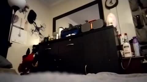 Snapshot of askme2shou chatting on November 27, 9:33 am askme2shou online show from November 27, 9:33 am