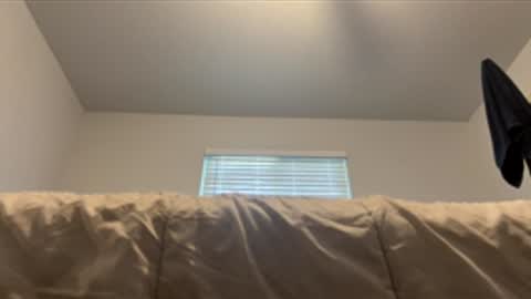Snapshot of assilem277 chatting on June 1, 7:48 pm danni travis online show from June 1, 7:48 pm