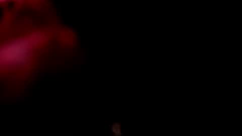 Monii Yi online show from February 20, 6:26 am