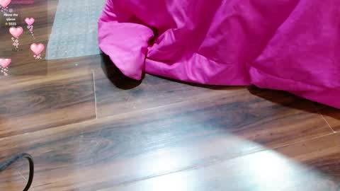 Snapshot of aurora_blossom__ chatting on January 23, 12:41 pm Aurora online show from January 23, 12:41 pm