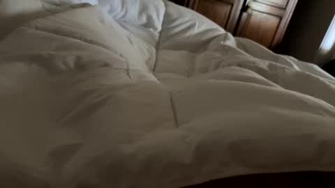 Snapshot of aussieguy1584 chatting on February 21, 10:55 pm aussieguy1584 online show from February 21, 10:55 pm