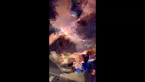 australopithas online show from April 3, 7:12 pm