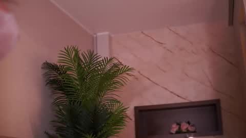 Ava online show from February 6, 4:39 am