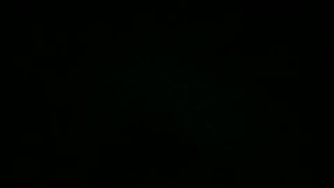 avg3131 online show from December 7, 1:03 am