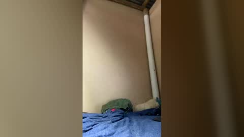 Axell online show from April 5, 1:52 pm