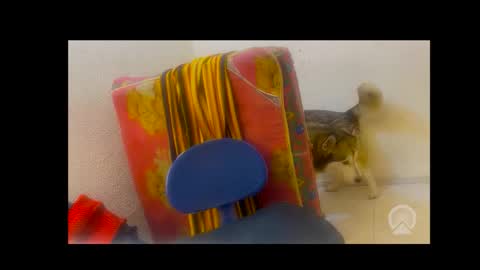 deliciosodemente online show from February 4, 5:02 am