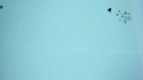 Mariana online show from March 12, 11:12 pm