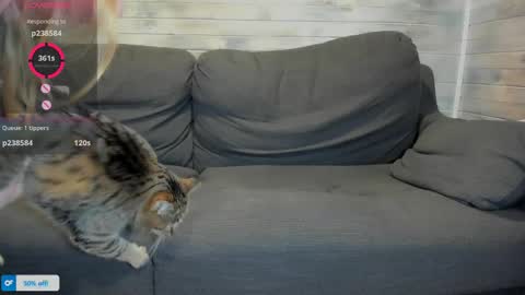 Maribel Bel online show from April 16, 1:23 pm