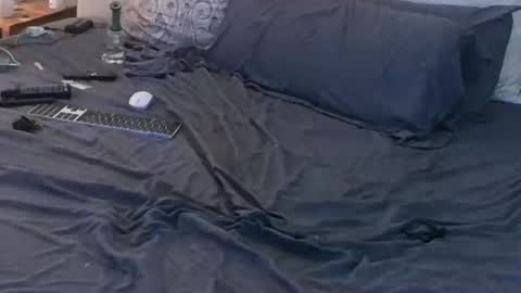 azslamslut2gape online show from November 15, 9:00 pm