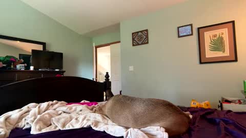 Snapshot of baby_bluu chatting on April 4, 9:45 pm blue online show from April 4, 9:45 pm